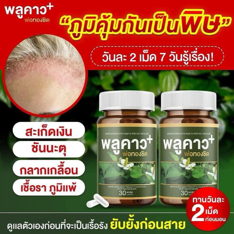 พลูคาว พลัส พ่อทองชิด สมุนไพรแท้100% ดูแลโรคผิวหนัง เสริมภูมิคุ้มกัน  30 แคปซูล