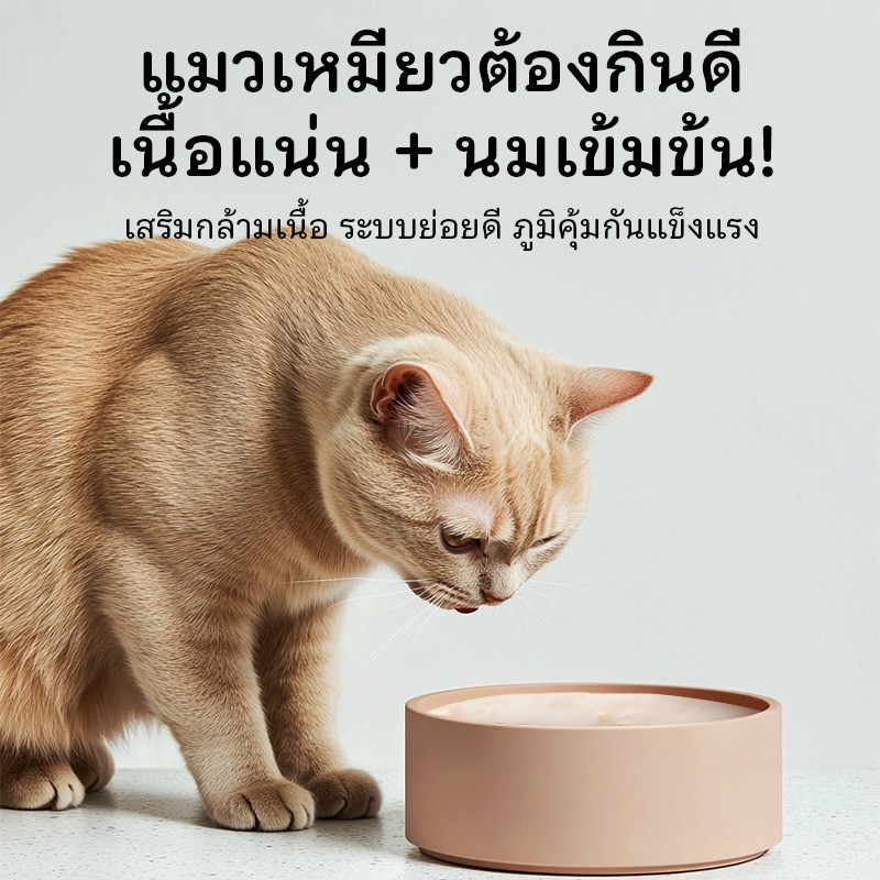 เปียกแมว อาหารเปียก อาหารแมว แมวเปียก  80ก.โภชนาการที่สมดุล มีทอรีน (ผู้พิทักษ์ชีวิตของแมว) - 3