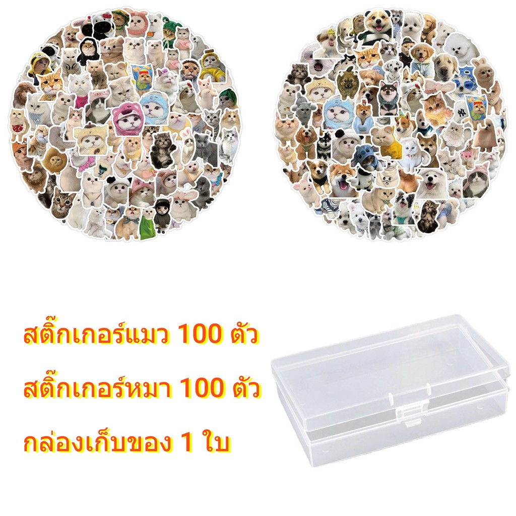 สติกเกอร์แมวและสุนัขน่ารักสติกเกอร์สัตว์น่ารักพร้อมกล่องเก็บโปร่งใสการ์ตูน ทําเอง สติกเกอร์ตกแต่ง