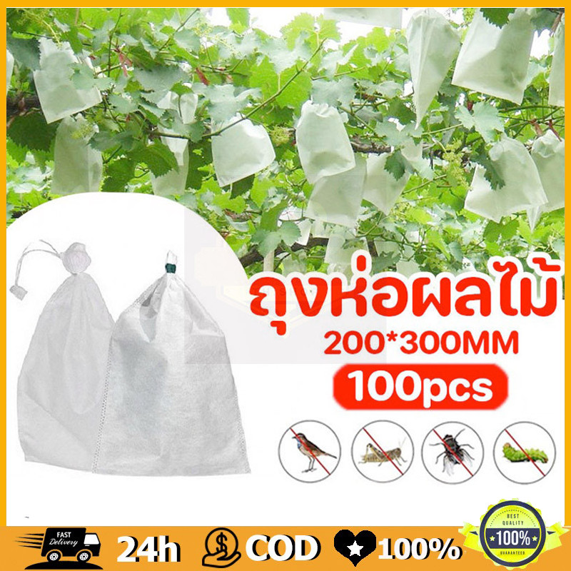 100 ใบ🔥ถุงห่อผลไม้ ถุงห่อมะม่วง ใช้ห่อกันแมลง เพลี้ย แสงแดดไม่ต้องห่อกระดาษทับ ใช้ซ้ำได้ ไม่มีไอน้ำเกาะในถุง ถุงห่อฝรั่ง