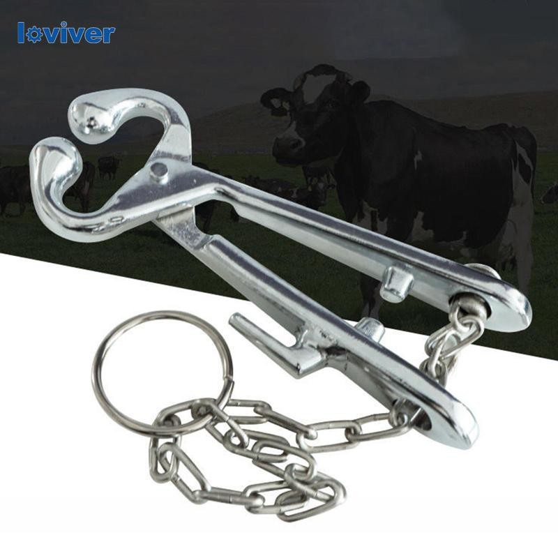 [Loviver] คีมแหวนจมูกวัวเจาะจมูกวัวอุปกรณ์เข้าเล่มคลิป Bovine สําหรับสามีสัตว์