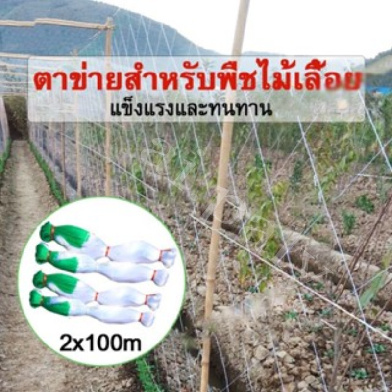🍀างปลูกผัก ค้างผัก 2*100m ตาข่ายปลูกผัก โครงไม้เลื้อย ค้างไม้เลื้อย ตะข่ายไนลอน ต้นไม้เลื้อย ตาข่ายปลูกแตง อวนแตง กวา