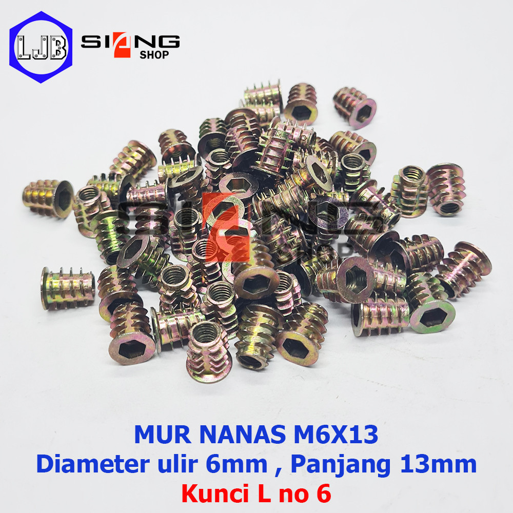 ถั่วสับปะรด OD M6x13 และ M6x20 (ถั่วเฟอร์นิเจอร์, น็อตปลูก)