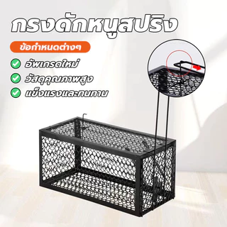 กรงดักหนูแบบมีโครง กรงดักหนูนา กรงดักหนูเล็ก พับเก็บได้ ไม่เปลืองพื้นที่ mouse traps ใช้ซ้ำได้