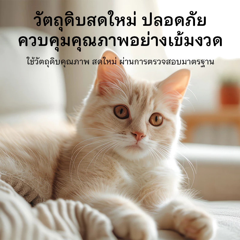 อาหารเปียกแมว 80g มีทอรีน โภชนาการสมดุล thumbnail 10