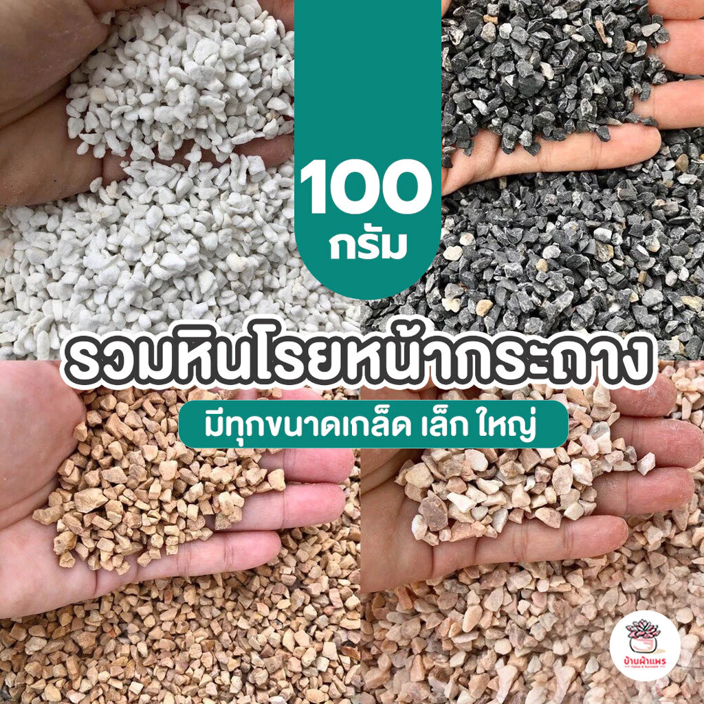 [ 100 กรัม ] รวมหินโรยหน้ากระถาง หินเกล็ดโรยหน้ากระถาง หินเกล็ดโรยกระบองเพชร แคคตัส ไม้อวบน้ำ