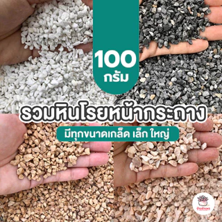 [ 100 กรัม ] รวมหินโรยหน้ากระถาง หินเกล็ดโรยหน้ากระถาง หินเกล็ดโรยกระบองเพชร แคคตัส ไม้อวบน้ำ