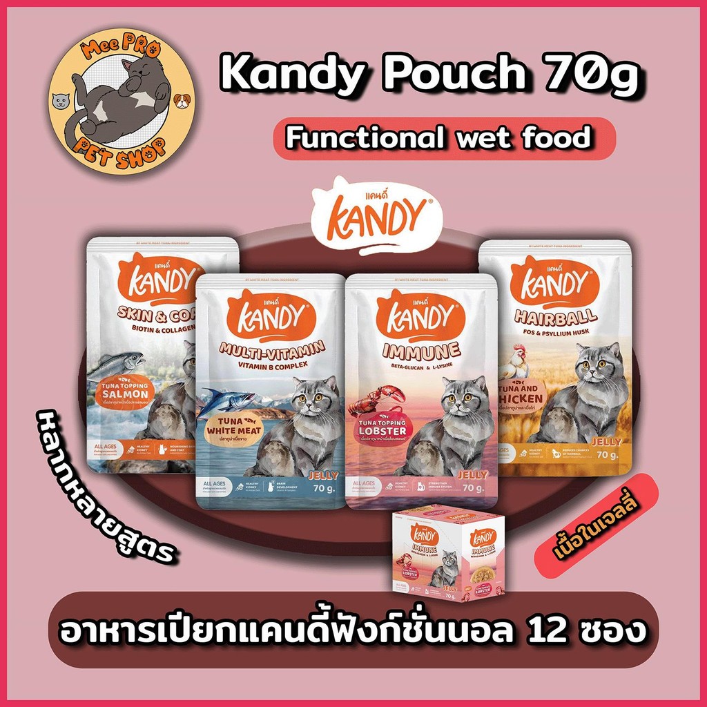 [12 ซอง] Kandy แคนดี้ อาหารเปียกแมว Functional ผลิตจากปลาเนื้อขาว ขนาด 70 กรัม ทานง่ายไม่เค็ม