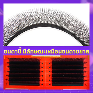 [ศิลปินขนตา ] ขนตาปลอม 5D รูปตัว W 5D ระดับพรีเมียมขนตาปลอม 5DW Lashes 0.05 C D curl ขนตา ที่ร้านเสริมสวย แกนขนตา
