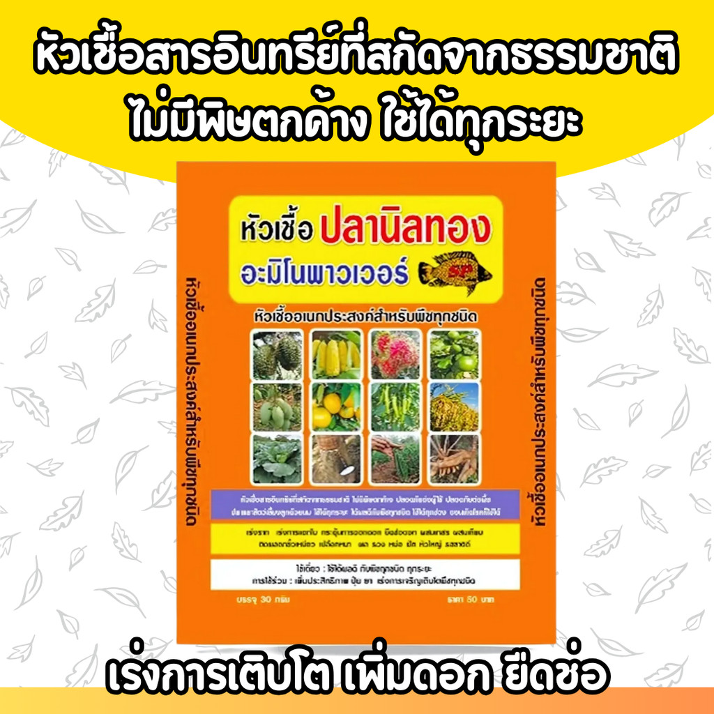 หัวเชื้อปลานิลทอง (5 ซองแถม 1 ซอง) ใบเขียวเข้ม สะสมอาหาร สมบูรณ์แข็งแรง พ่นได้ทุกระยะ ใช้ได้กับพืชทุกชนิด