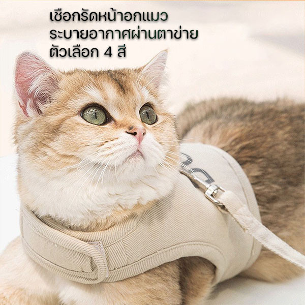 สายจูงแมวเล็ก สายจูงแมว ลายการ์ตูนหมี สายจูงสัตว์เลี้ยง แถมเชือกลากยาว ระบายอากาศผ่านตาข่าย ตัวเลือก 4 สี