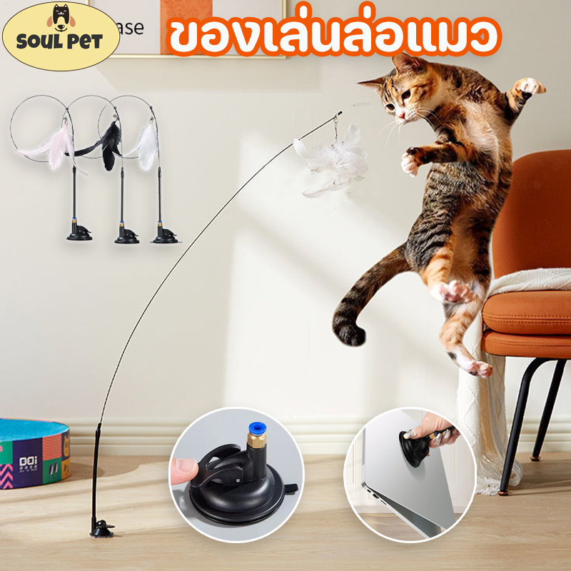 😻ของเล่นล่อแมว ของเล่นแมว😻ของเล่นล่อแมว Cat toy ขนนก แบบปุ่มดูดสุญญากาศ ไม้แหย่แม ว และแบบติดกระจก