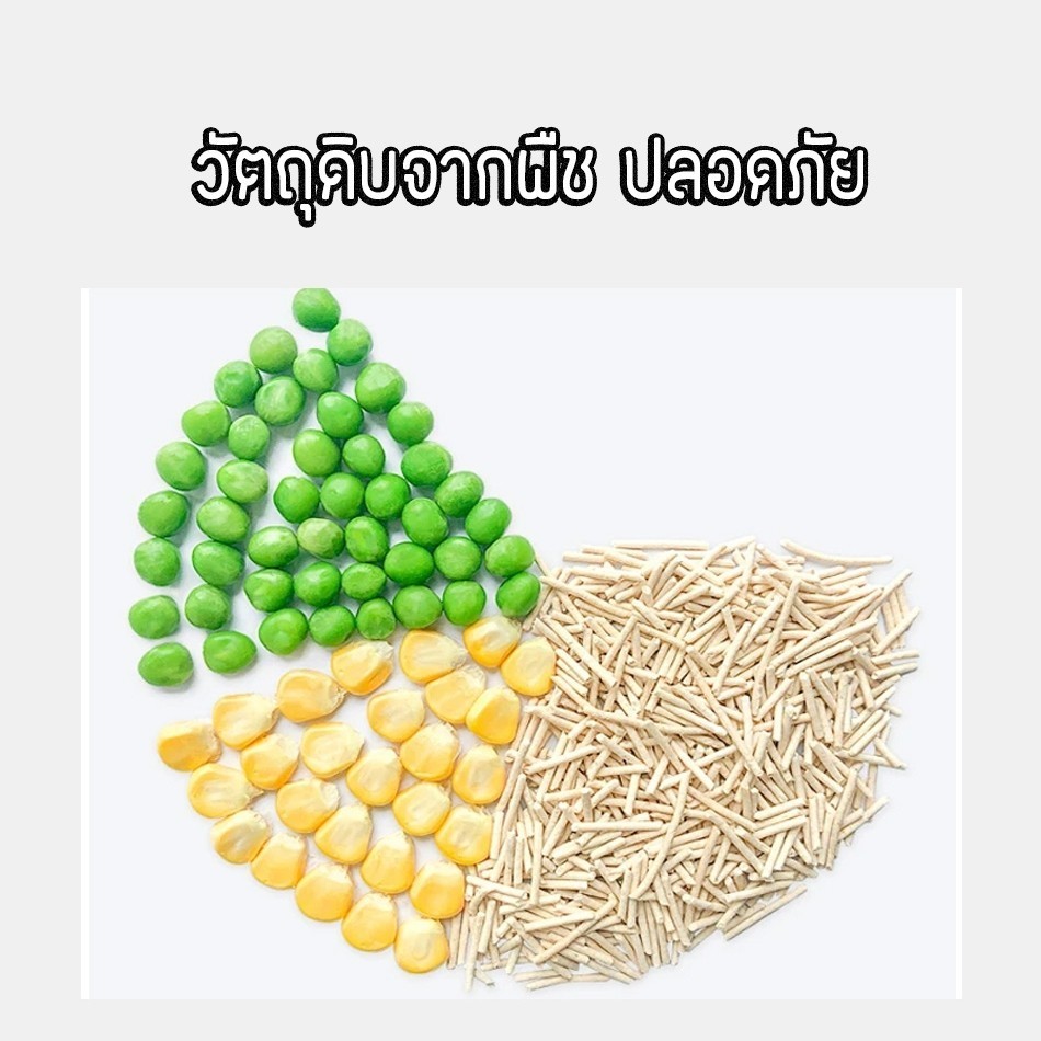 รูปภาพ 8