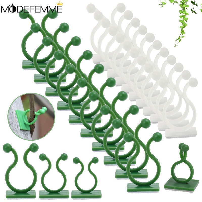 Self-adhesive Plant Stems Fixing Clip - Plant Climbing Wall Fixture Clip - Plant Vine Traction - Flower Branch Fastening Rack - เครื่องมือทําสวน