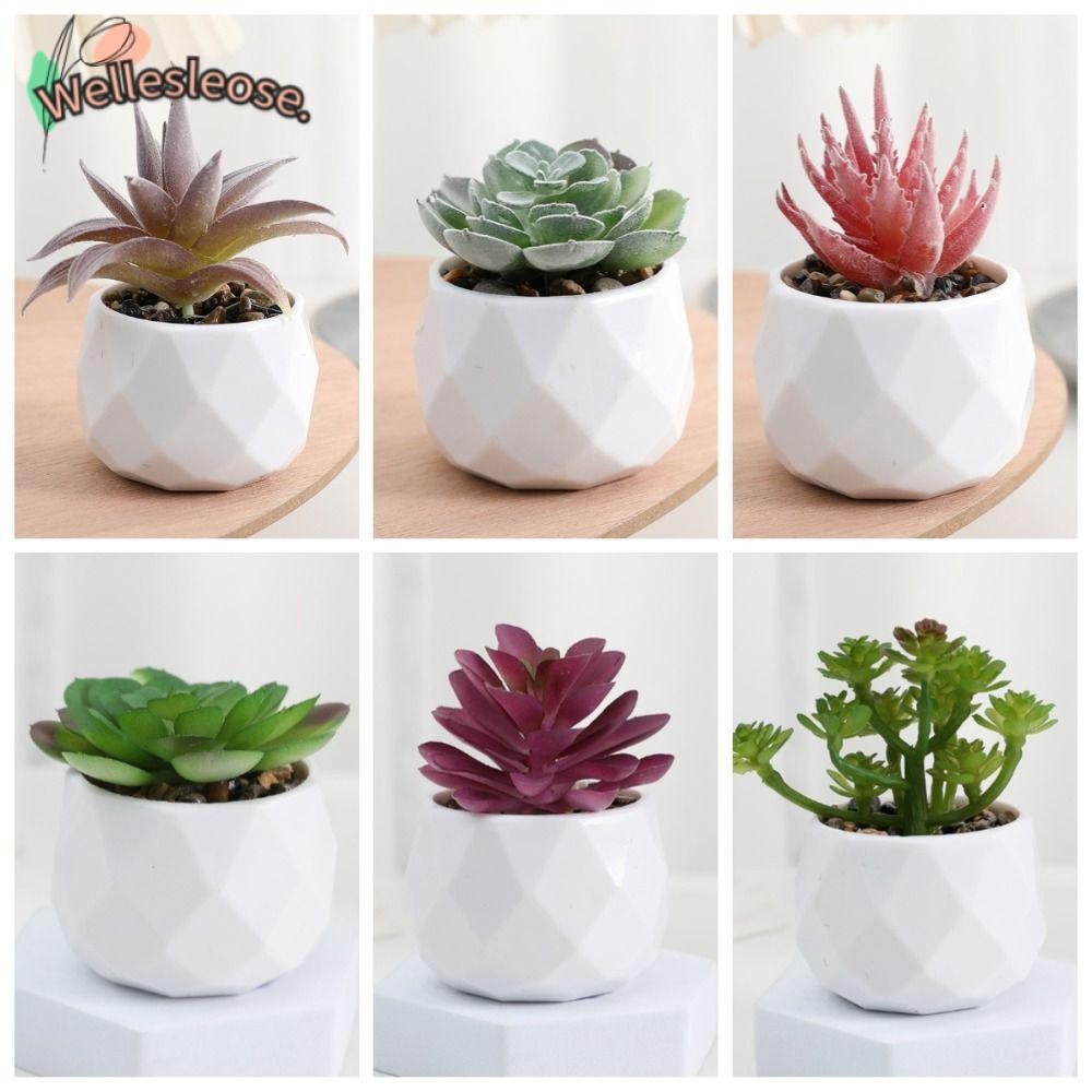 Welle Succulents บอนไซ, พืชปลอมกระบองเพชร Succulent ประดิษฐ์, จําลองเอเวอร์กรีนพลาสติกกระถางต้นไม้ขนาดเล็ก Home