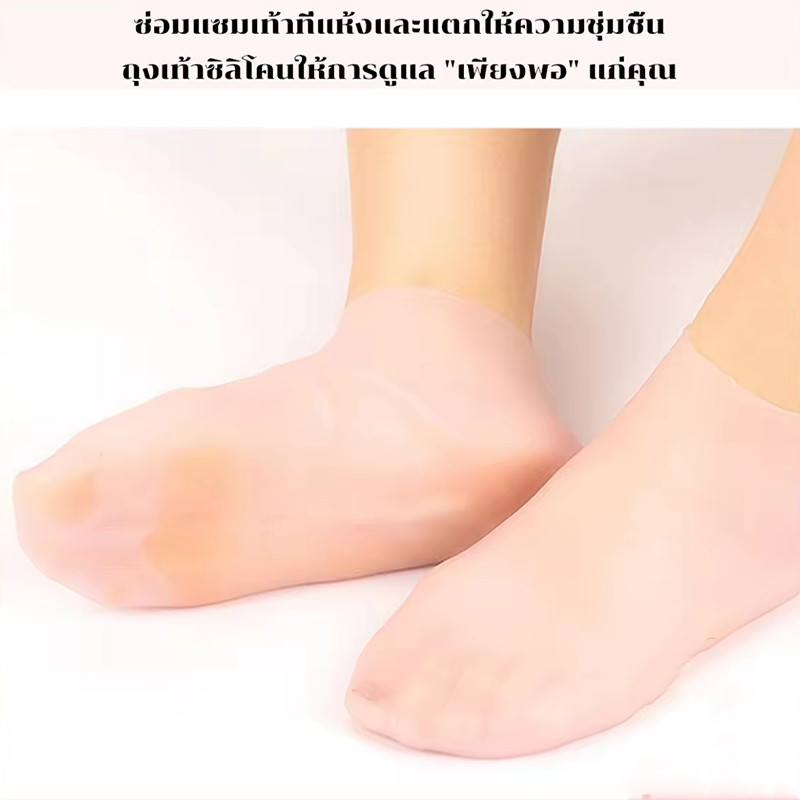 รูปภาพ 4