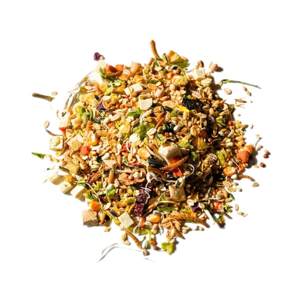 หนูและเวลาอาหารหนูแฮมสเตอร์ Self-Equipped Rat Food Freeze-Dried Comprehensive Food Dwarf Golden Silk