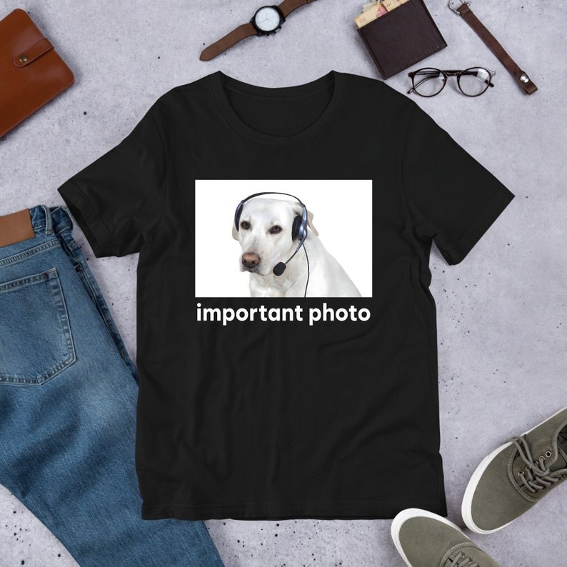 Important Photo Dog, Funny Meme Shirt, Ironic Shirt, Dog Lover Gift, Oddly Specific, Unhinged Shirt,