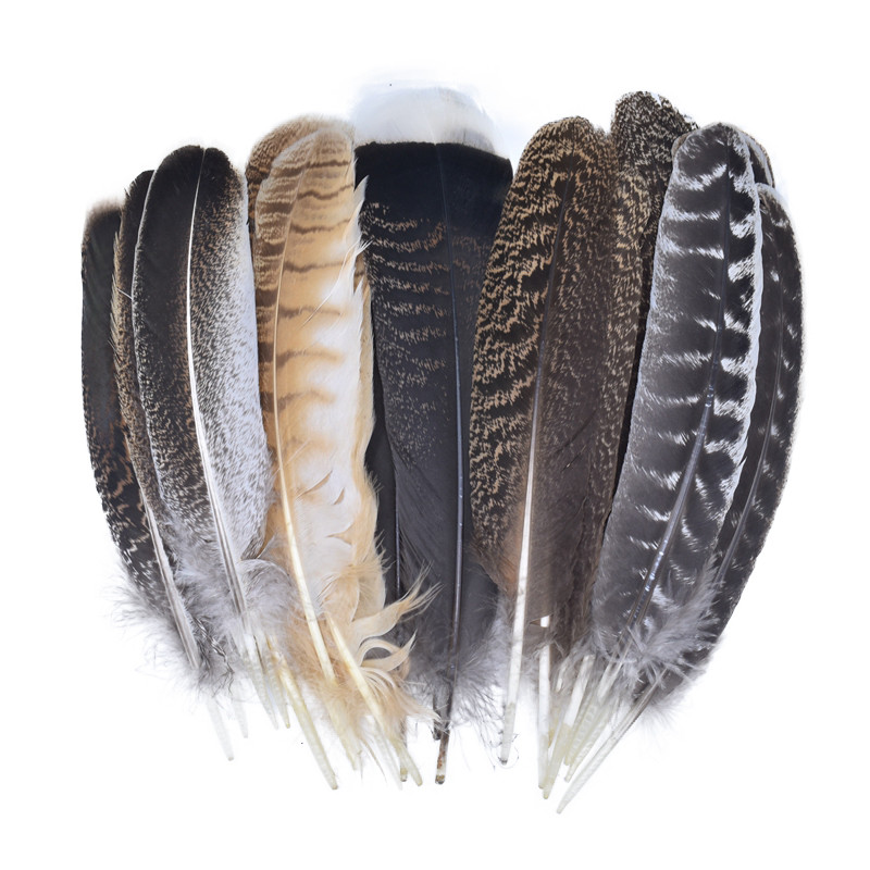 10 ชิ้น/ล็อตจริงธรรมชาติ Eagle Feathers สําหรับตกแต่งตุรกีนกไก่หมวกหัตถกรรม Carnival อุปกรณ์เสริม Feather สําหรับเครื่องประดับทําตกแต่ง DIY พลัม