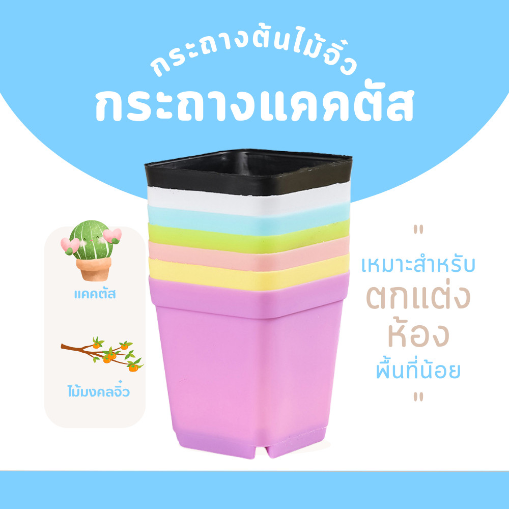 กระถางแคคตัสกระถางบอนไซกระถางต้นไม้จิ๋วลายหินNo5