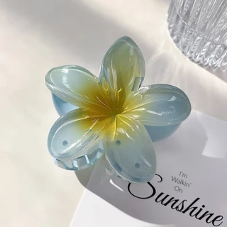 Mini shop🌸พร้อมส่ง🌸เครื่องประดับผม ารักเกาหลีสไตล ์ วันหยุดผู ้ หญิงมัลติฟังก ์ ชั ่ อุปกรณ เสริมผม กิ๊บติดผม (TM-3)
