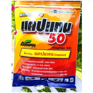 แคปแทน50 ใช้กำจัดโรคใบจุด โรคราน้ำค้าง โรคใบไหม้ แอนแทรคโนส (ขนาด 100g) เอราวัณ