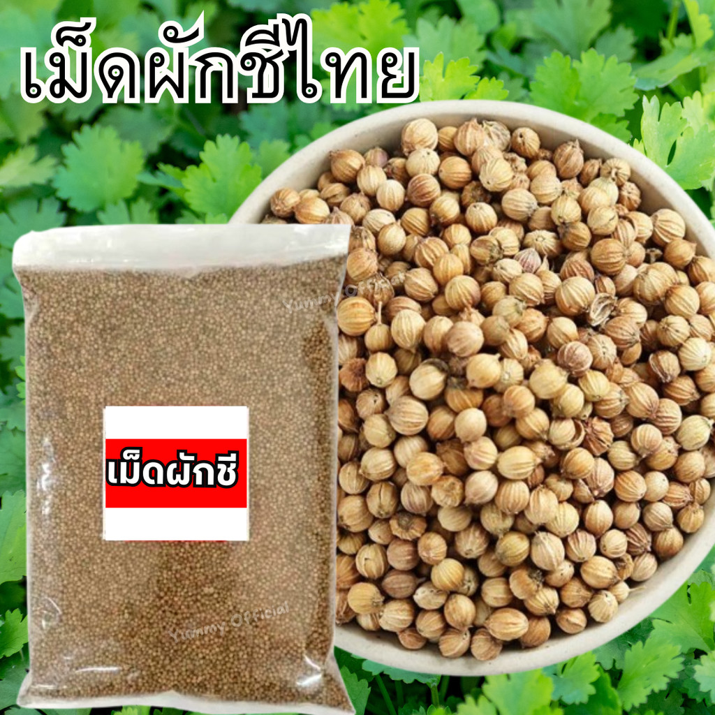 MK 1เเถม1  เม็ดผักชี เมล็ดผักชี ผักชี ผักชีไทย ผักชี เมล็ดผักชี เม็ดผักชี ลูกผักชี ผักชีเมล็ดผักชี ลูกผักชี