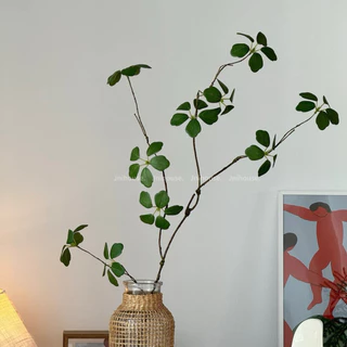 [พร้อมส่ง] Jnihouse : กิ่งไม้ประดิษฐ์ ใบ5แฉก (Green leaves)(Tree)