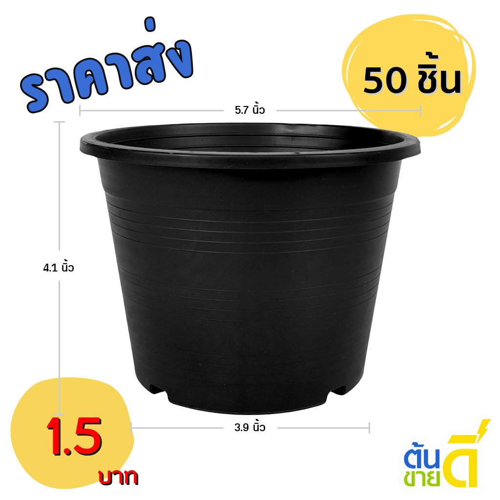 กระถาง กระถางต้นไม้ กระถางพลาสติก เบอร์ 6 5.7 นิ้ว สีดำ 50 ใบ ยกมัด ยกกระสอบ