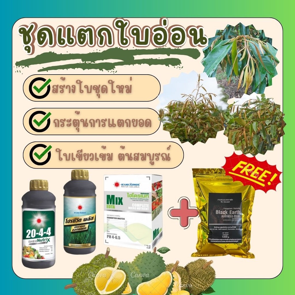 #ชุดแตกใบอ่อน บำรุงใบชุดเเรก เร่งการแตกยอด ( Mix-edta+โปรซีวีดพลัส+20-4-4+แถม แบล็กเอิร์ท ) #ดวงตะวันเพชร #ชุดแตกใบอ่อน