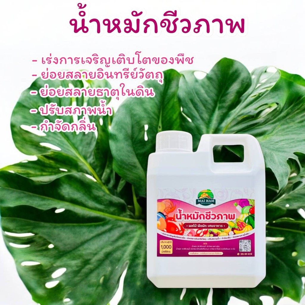 น้ำหมักชีวภาพ 1ลิตร จากผักผลไม้และเศษอาหาร ปุ๋ยชีวภาพ น้ำหมัก