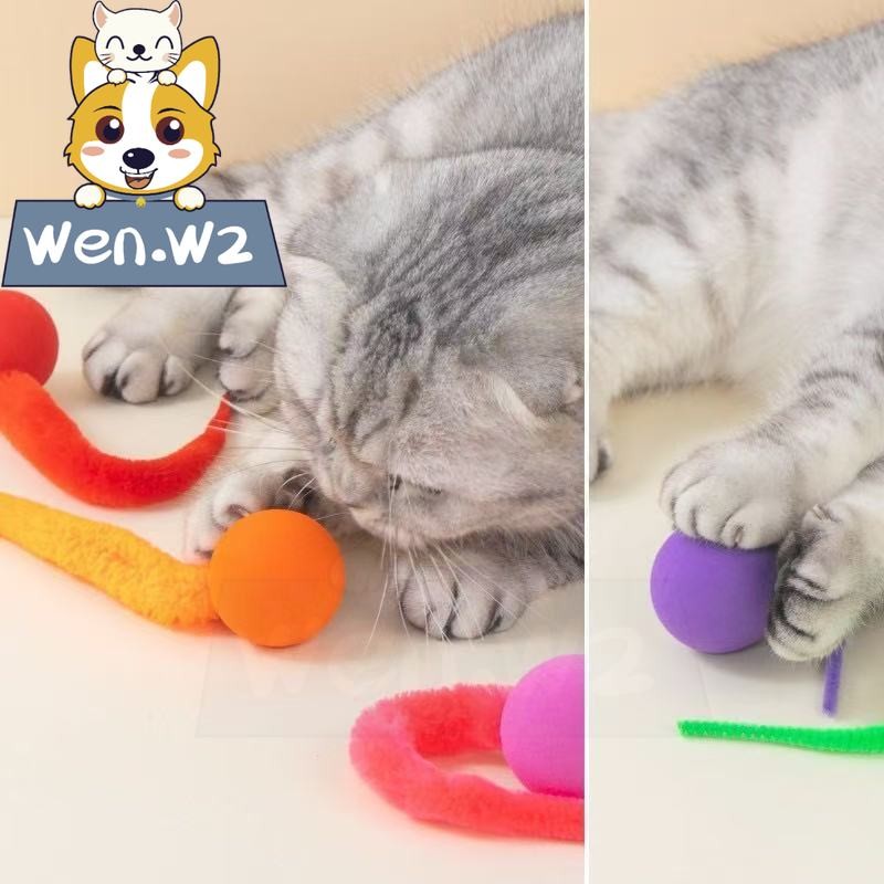 wen.W2 ของเล่นลูกบอลยาง สำหรับแมว ของเล่นสัตว์เลี้ยง ฝึกแมว