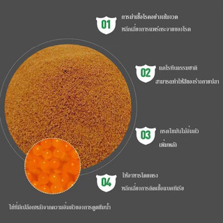 ไข่อาร์ทีเมียลอกเปลือก อาหารปลาสำหรับปลากัดและปลาหางนกยูง ใช้เป็นอาหารลูกปลา ไม่ต้องฟัก