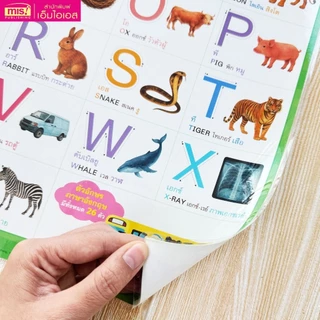 โปสเตอร์เสริมการเรียนรู้สำหรับเด็ก A3 แบบฝึกอ่าน ก-ฮ | ABC | 123 | Animals