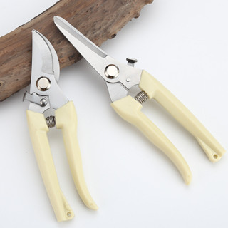 กรรไกรตัดกิ่ง ตัดแต่งทรงต้น ตัดกิ่งก้าน ไม้ดอก ไม้ประดับ ไม้…