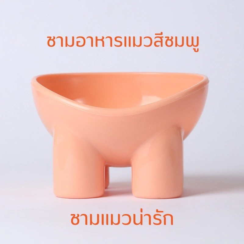 ชามกันมด แมว ชามอาหารแมว ชามอาหารสัตว์เลี้ยง ทรงเฉียง ชามอาหารสุนัข ที่วางอาหารสัตว์เลี้ยง เครื่องให้อาหารสัตว์เลี้ยง - รูปที่ 7