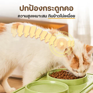 ชามอาหารสัตว์เลี้ยง ชามอาหารแมว ชามอาหารหมา ชุดชามคู่แบบเอียง ปกป้องกระดูกสันหลังส่วนคอ