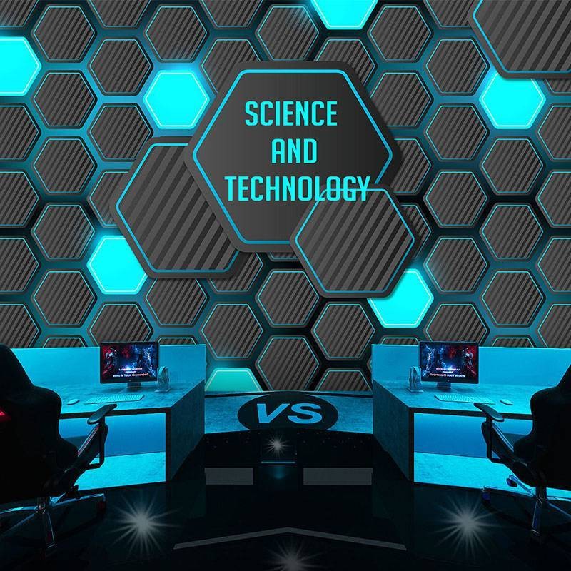 3D เทคโนโลยีสามมิติเว้านูนฉากหลังวอลล์เปเปอร์สําหรับโต๊ะทํางานด้านหน้า KTV Internet Cafe E-sports Li