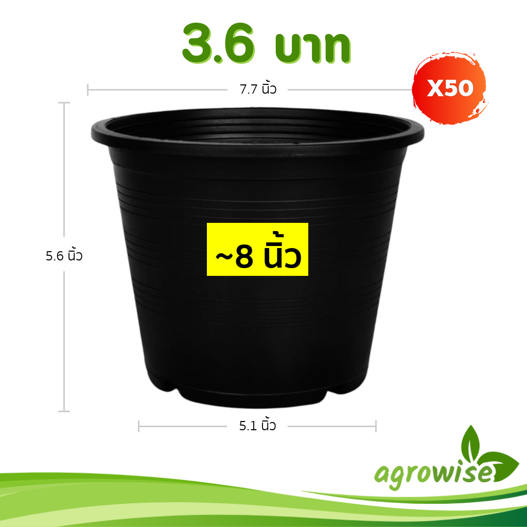 กระถาง กระถางต้นไม้ กระถางพลาสติก เบอร์ 8 7.5 นิ้ว สีดำ 50 ใบ ยกมัด ยกกระสอบ