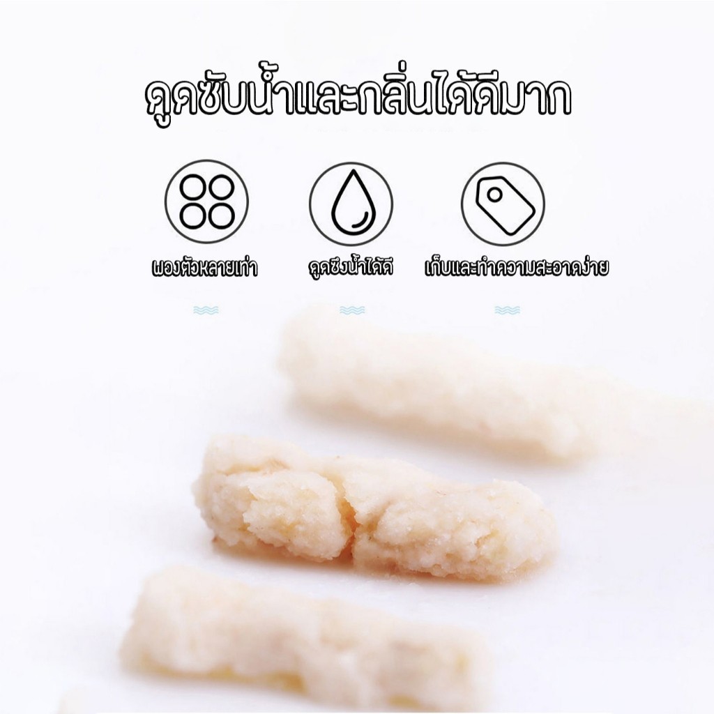 รูปภาพ 7