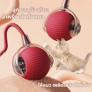 🐾ลูกบอลแมว บอลแมวอัตโนมัติ ชาร์ตแบตได้ ของเล่นแมว สมาร์ทไฟฟ้า หมุนได้ ของเล่นแมวโต้ตอบ ของใช้แมว