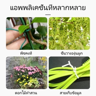 Featured สายรัดสวน, เชือกอเนกประสงค์, เชือกปีนต้นไม้, เชือกต้นไม้, เชือกรูดพลาสติก จะไม่เป็นอันตรายต่อพืช