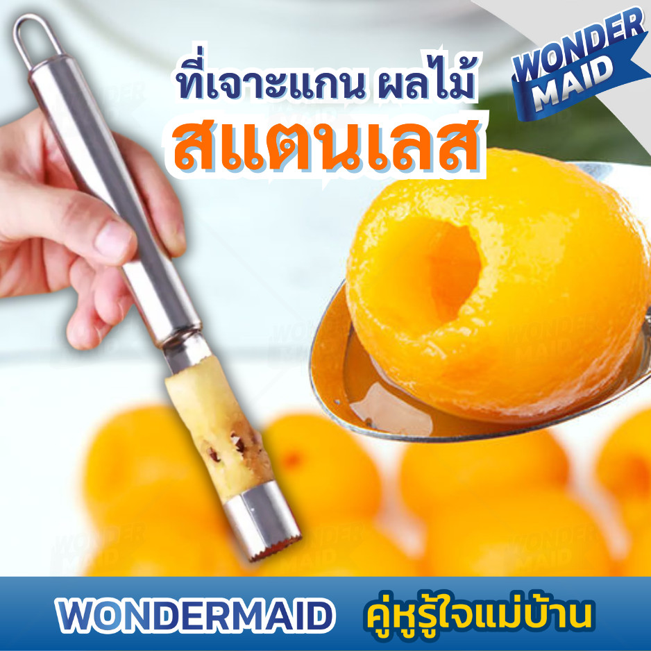 ✨ Wondermaid ✨ มีดคว้าน คว้านผลไม้ มีดปอกผลไม้ ที่แกะลำไย คว้านเงาะ มะยงชิด สละ พุทรา มีให้เลือกขนาด