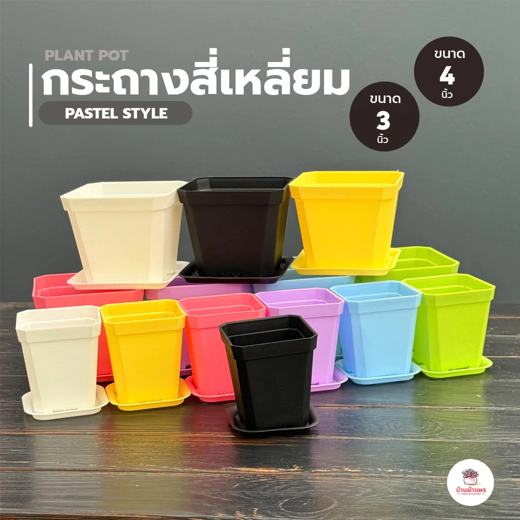 กระถางสี่เหลี่ยม #พาสเทล กระถางพลาสติก แคคตัส กระบองเพชร ไม้อวบน้ำ Cactus&Succulent