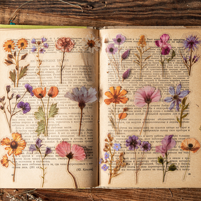 Journal GO 50 ชิ้นดอกไม้แห้งคอลเลกชันสติกเกอร์ PET ตกแต่ง Handmade Scrapbooking วัสดุไดอารี่อัลบั้มหัตถกรรมการ์ด DIY ป้าย