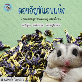 ( ดอกอัญชัน ) อัญชันอบแห้ง อันชัน อัญชัญ ขนม สัตว์เลี้ยง สัต…