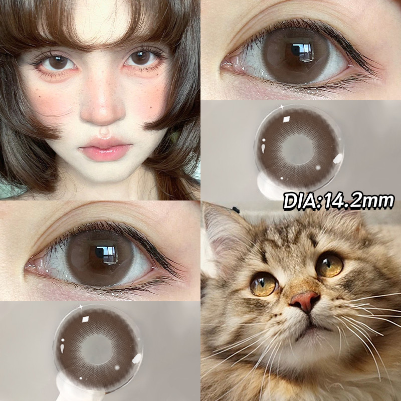 (-0 ° -600 °) คอนแทคเลนส์ 🌈ZM 🌈  สีฟ้า/ชา สีน้ำตาล/สีเทา คอนแทคเลนส์แฟชั่น วันหมดอายุ 6 เดือน 15