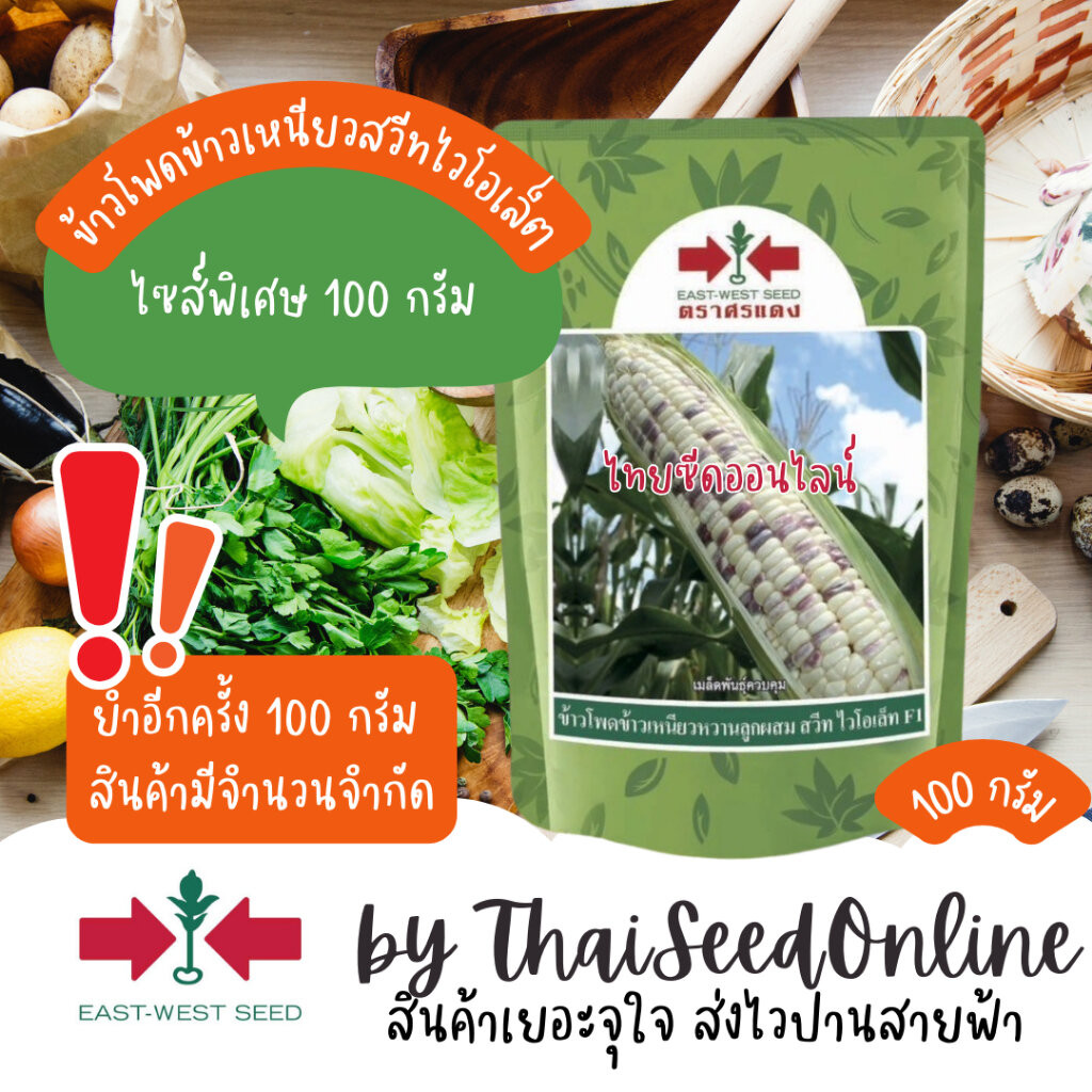 Sorndang(ศรแดง) EWCOM ขนาดพิเศษจำนวนจำกัด 100 กรัม เมล็ดพันธุ์ ข้าวโพดลูกผสม ข้าวเหนียวหวานลูกผสม สวีทไวโอเล็ต ตราศรแ...