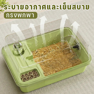 กรงแฮมเตอร์ บ้านกระรอก ดอร์เมาส์ กรงหนูแฮมสเตอร์ กรงหนูแฮมเต…