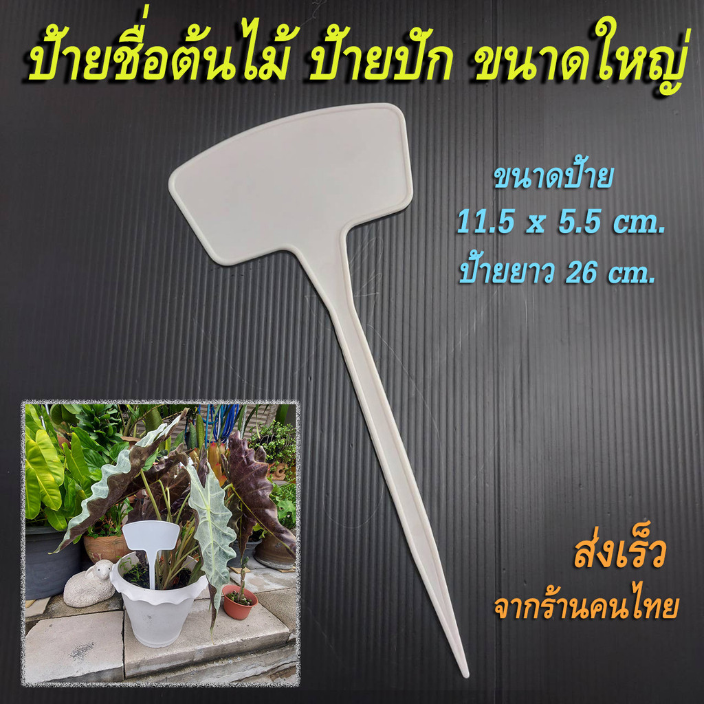 (10ชิ้น) ป้ายขนาดใหญ่เขียนชื่อพันธ์ุไม้ ขนาด11.5x5.5ซม. ขาปักยาว26 ซม. ป้ายพลาสติกเสียบกระถาง เสียบดิน ป้ายพลาสติกสีขาว